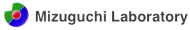 Mizuguchi Lab